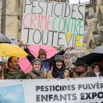 <b>marche blanche 6</b> <br /> 