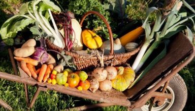 image producteurs locaux blog