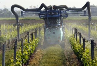 pesticides vignes