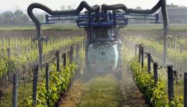 pesticides vignes