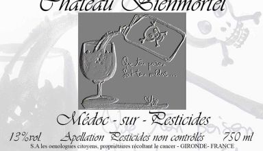 Steph Château Bienmortel