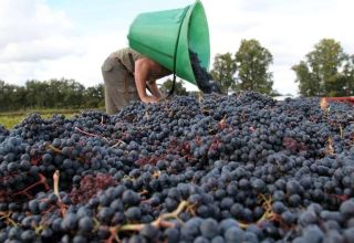 A3693C42-1950-4E73-BDE6-081CF6CA400F