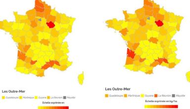 Cartes ventes CMR France 2017