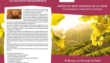 PlaquetteFORMATIONetBULLETINviti2019vFFF-page-001