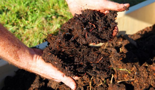 170911-organic-farming-soil