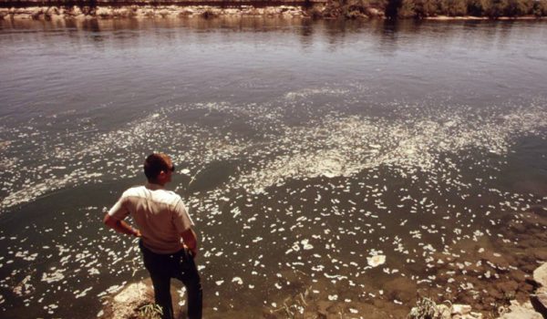 Waste floating on Colorado River in Yuma County, Arizona.EPA archival photo from 1972